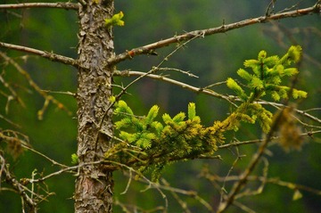 DSC_0255.JPG