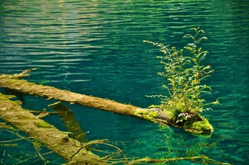 DSC_0327.JPG