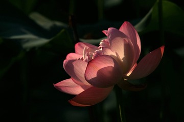 9F497953-B2D8-4607-AFAA-C02904AF91FC/L0/001