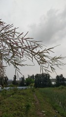 389546