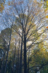 DSC_3346-1.jpg