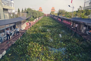 DSC_4530.jpg
