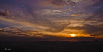 DSC_4799.jpg