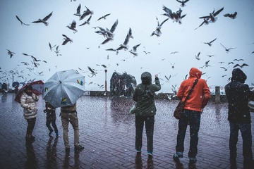 _NL11127