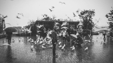 _NL11132