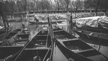 _NL11157