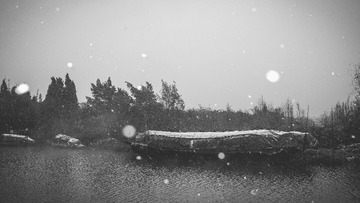 _NL11195