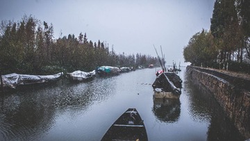 _NL11197