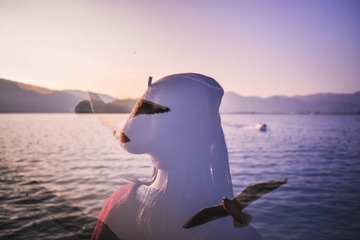 _NL10350