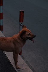 B06815EB-B6DC-4C84-B696-F1D5FE5CECB4/L0/001