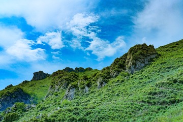 DSCF6331-116