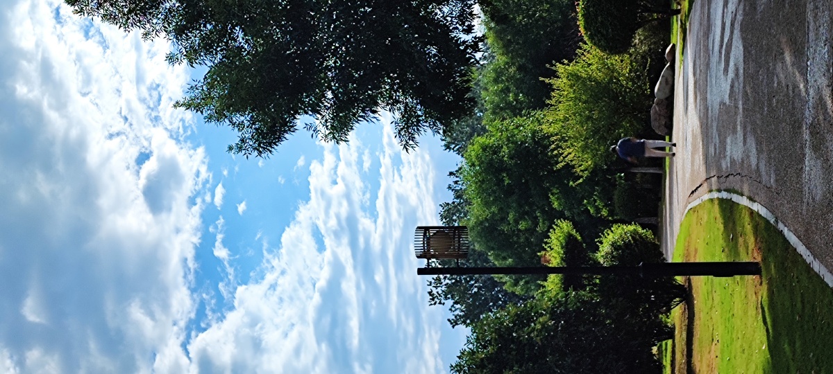 夏日雨后清晨美景