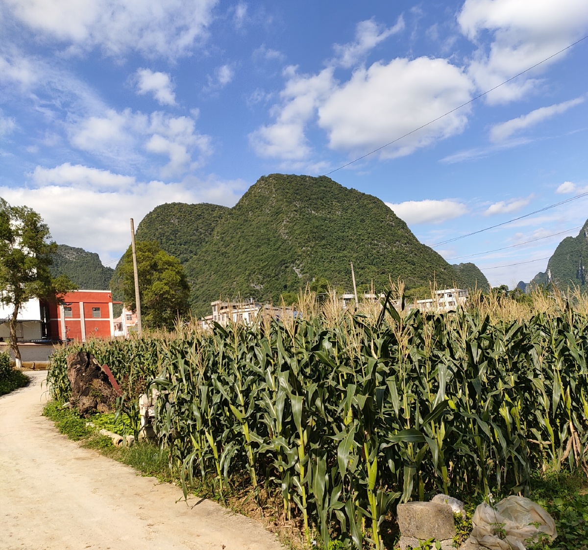 广西省巴马县巴马镇西山乡