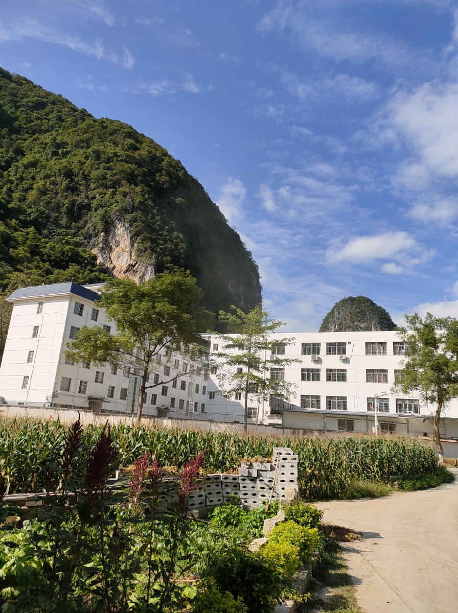 广西省巴马县巴马镇西山乡