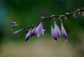 130573