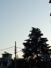 67423