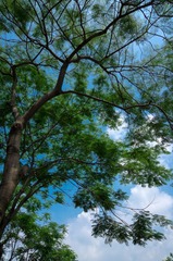 DSC00293.jpg