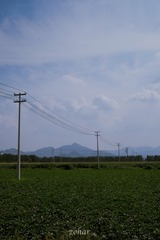 1920565