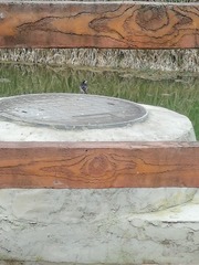 924892