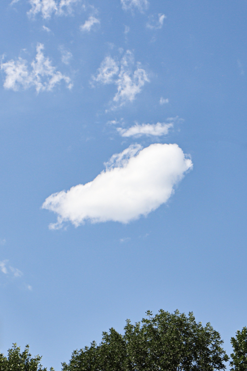 偶遇天边一朵云像鸟一样自由