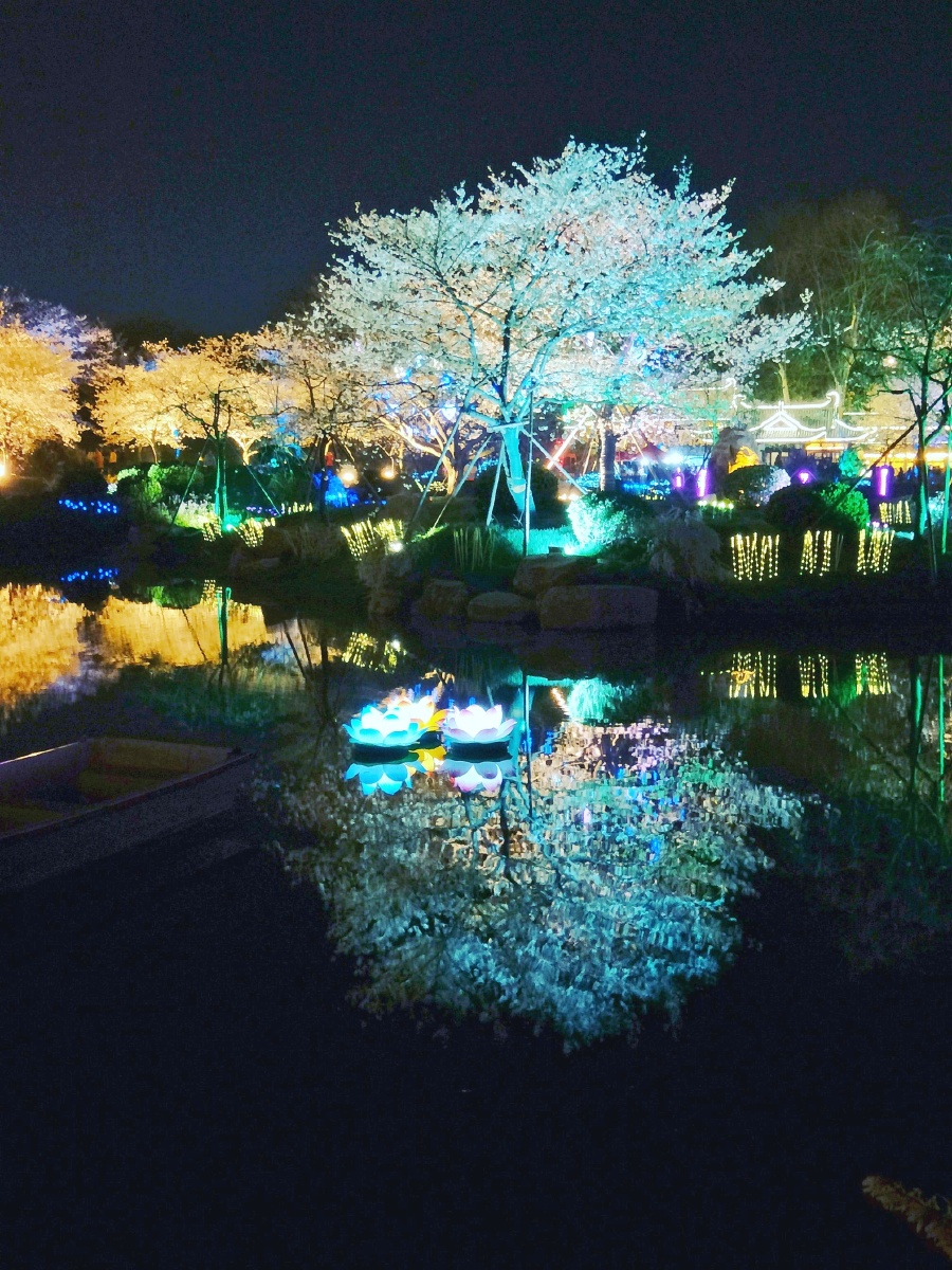东湖樱花园的夜景宛如人间仙境