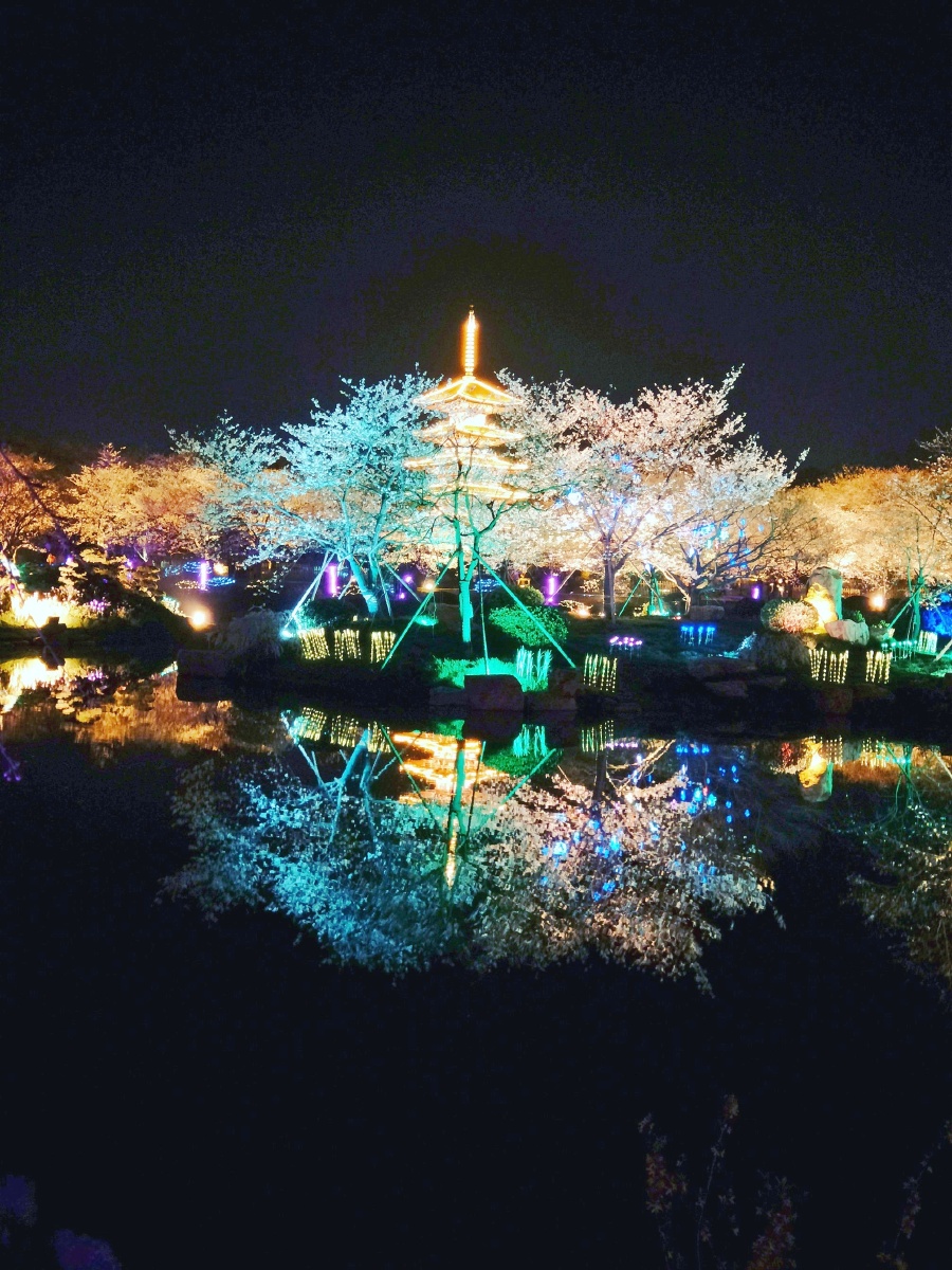 东湖樱花园的夜景宛如人间仙境