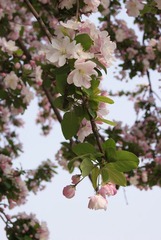 DSC08906.JPG