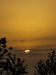 DEE52C69-8521-4F9D-AE21-8879E2A7D1D1/L0/001