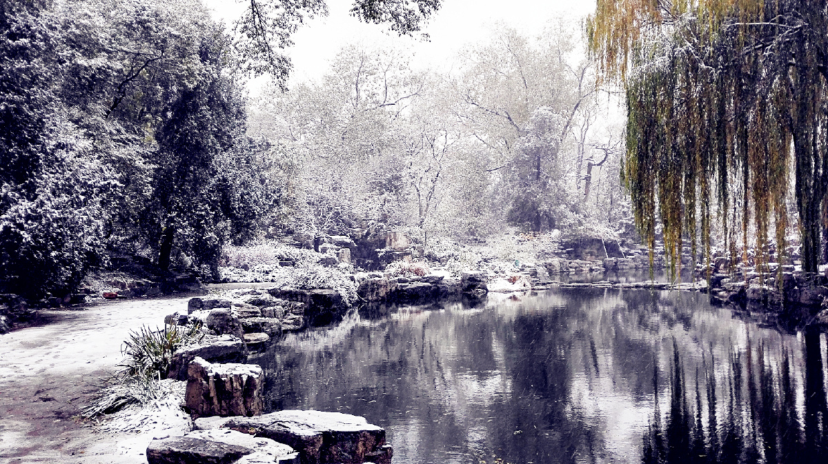 却顾所来径,苍苍横翠微 - 新雨1024 - 图虫网 - 最