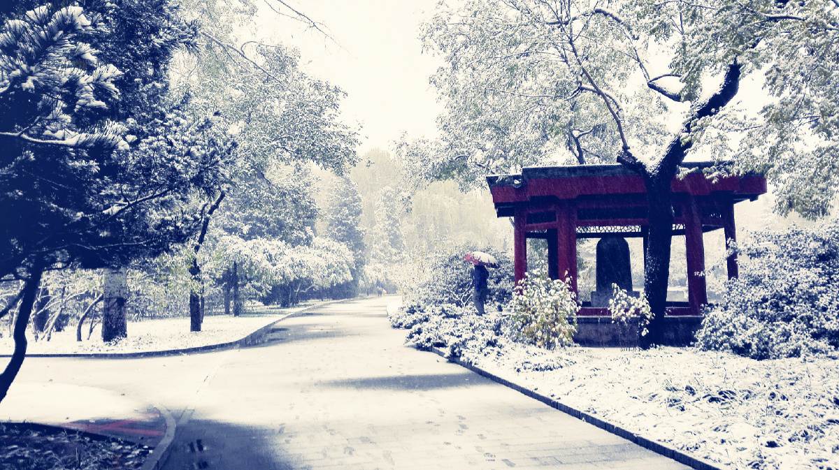 却顾所来径,苍苍横翠微 - 新雨1024 - 图虫网 - 最