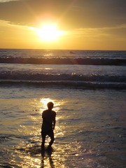 5E1B1E37-0355-4F06-AB63-5CE4D7722678/L0/001