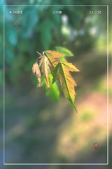 CB0D5716-C444-40CF-8E21-1A3DCD180318/L0/001
