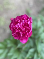 0F2E3A8B-C0C3-4EB6-9D3A-BECFFCB7FBBF/L0/001