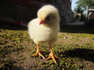 202