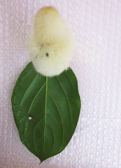206
