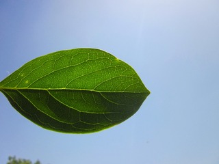 200