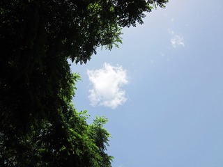 201
