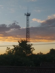 3062036