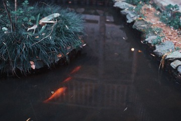 X01_4310-Edit