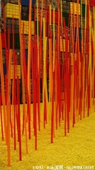 IMG_2435_conew1.jpg