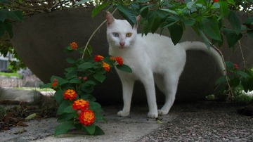 IMG_2278.JPG