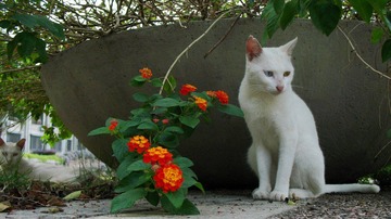 IMG_2279.JPG