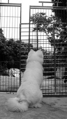 IMG_5137_conew1.jpg