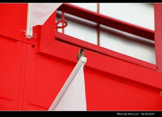 IMG_2186-0