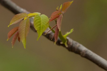 IMG_2967.jpg