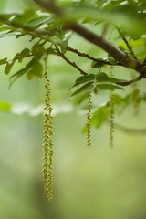 IMG_2976.jpg