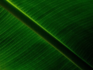C5C4B3A1-C270-4D0E-9880-8B8BBBB678DE/L0/001