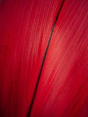 B2D05A38-A16D-4BB5-A2C7-5103609283A4/L0/001