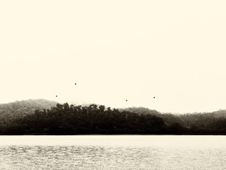 A66A8C85-6067-442A-B7A2-81BE9C0F15E9/L0/001
