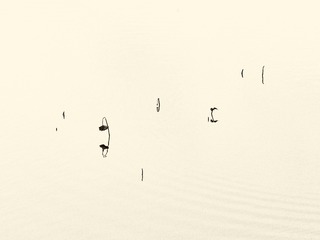 664A6950-40FE-45D6-8923-69C1BD89992F/L0/001